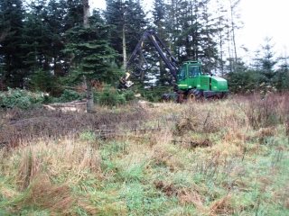 3ff9d615dd-Billeder-Foto Skov-skov groen faeningsmaskine.jpg-for-web-normal.jpg